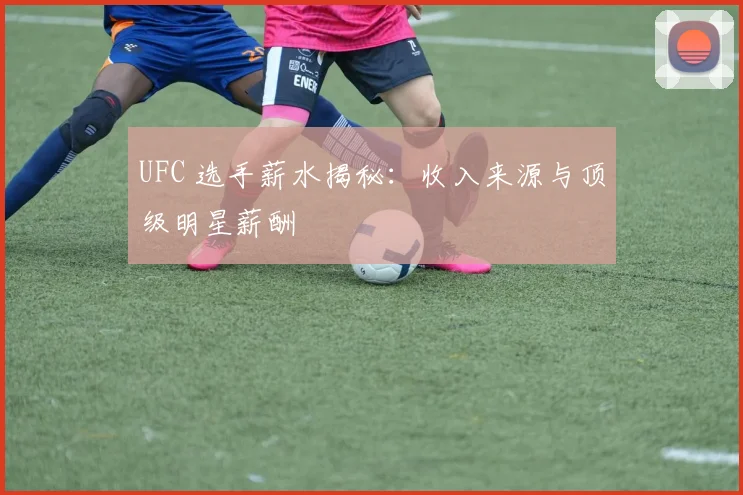 UFC 选手薪水揭秘：收入来源与顶级明星薪酬