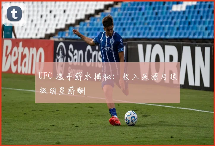 UFC 选手薪水揭秘:收入来源与顶级明星薪酬